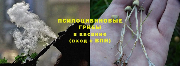 прущая мука Богородицк