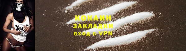 mdpv Богданович