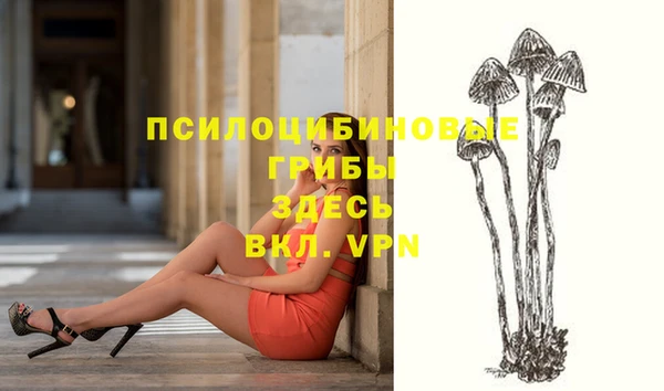 mdpv Богданович
