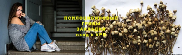 прущая мука Богородицк